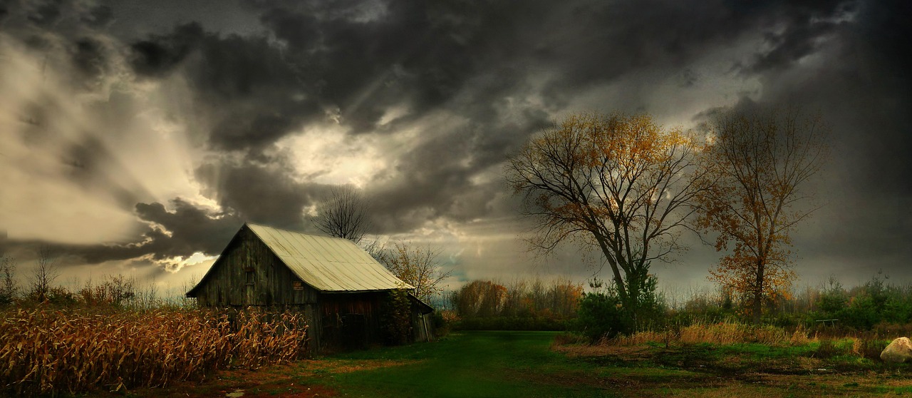 365帧烟火气，农村视频里的时光长卷